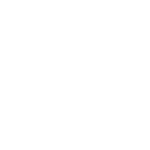 ICON JERSEY