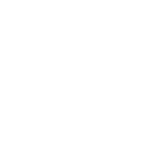 ICON SECURITY LIGHTING