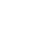 Permanent Christmas Lights