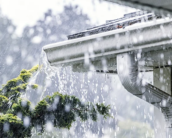 Weather Proof