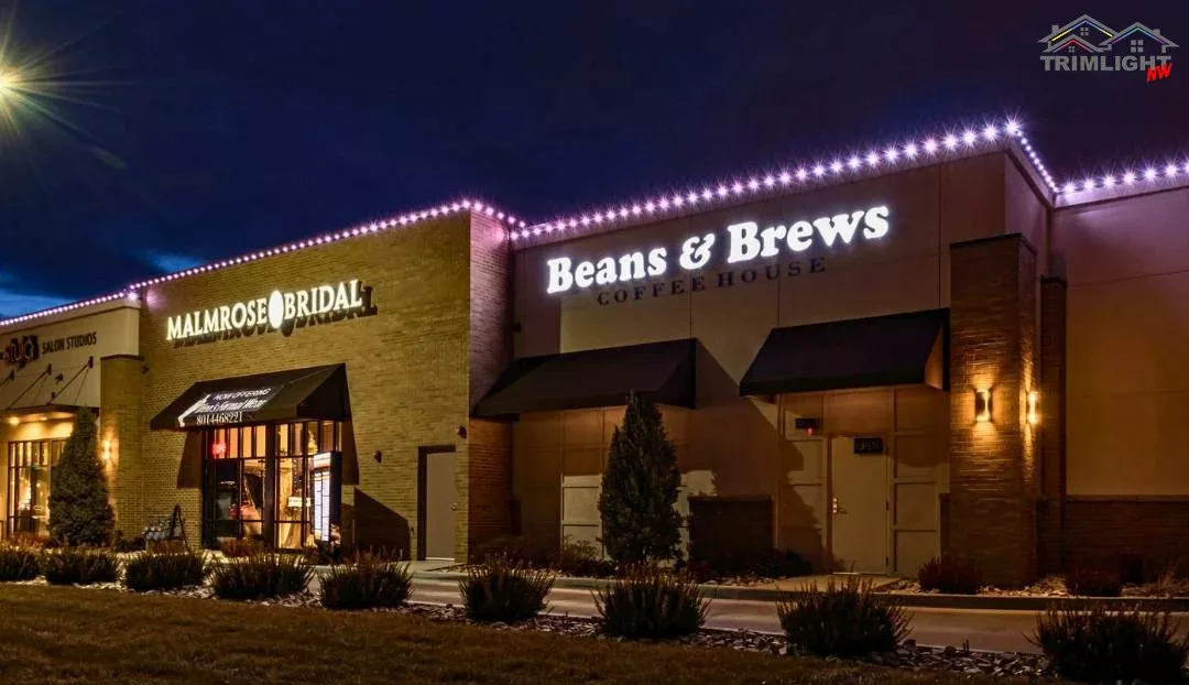 Accent business lighting