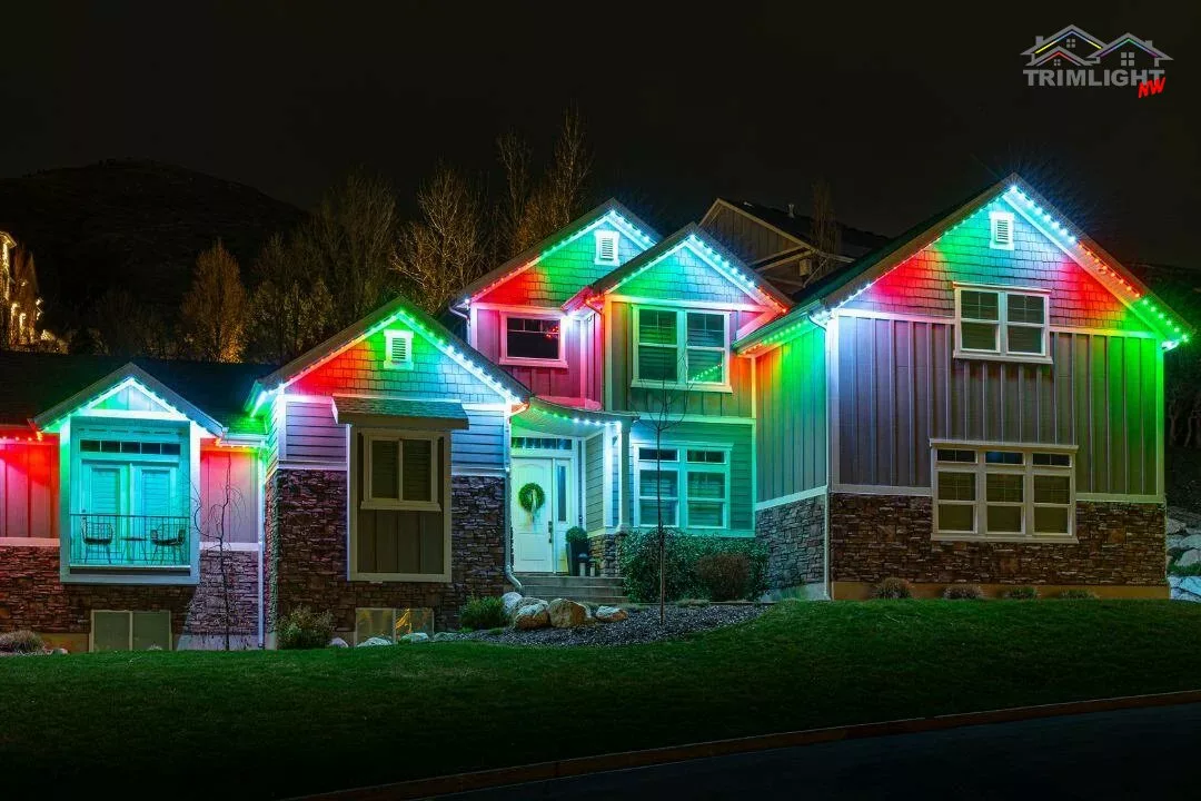 Permanent xmas led lights